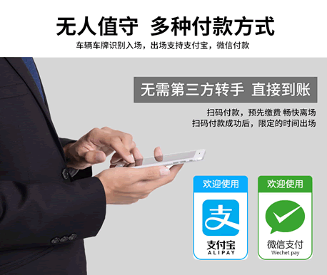 �����ǳ�����ʶ��ϵͳ